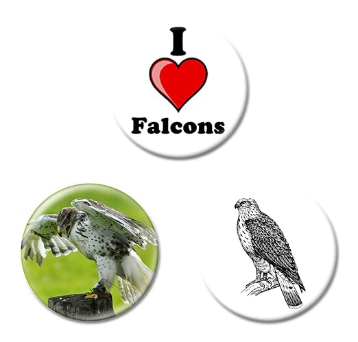 Conjunto de tres electek I Love halcones imanes de nevera - varios ...