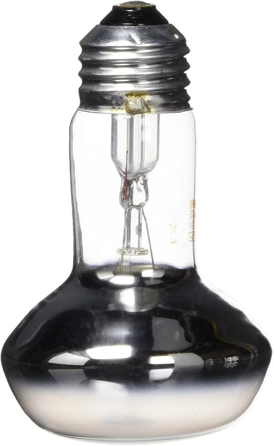 25 watt reptile heat bulb