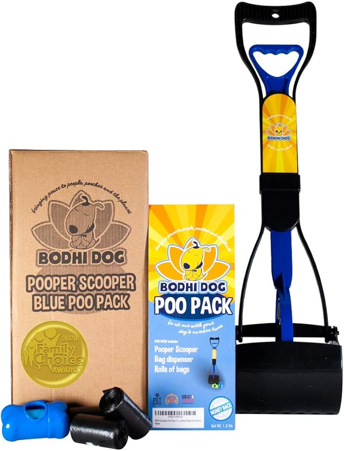 cavapoo potty training