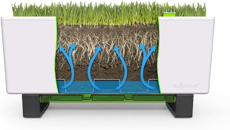 Glowpear Self-Watering Mini Bench Planter : Garden & Outdoor
