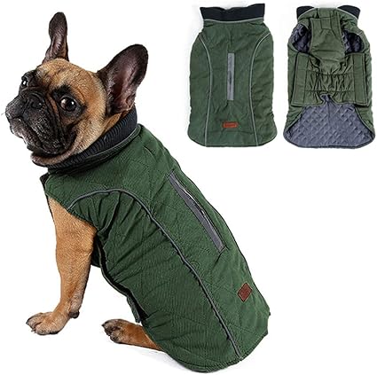 extra large dog clothes