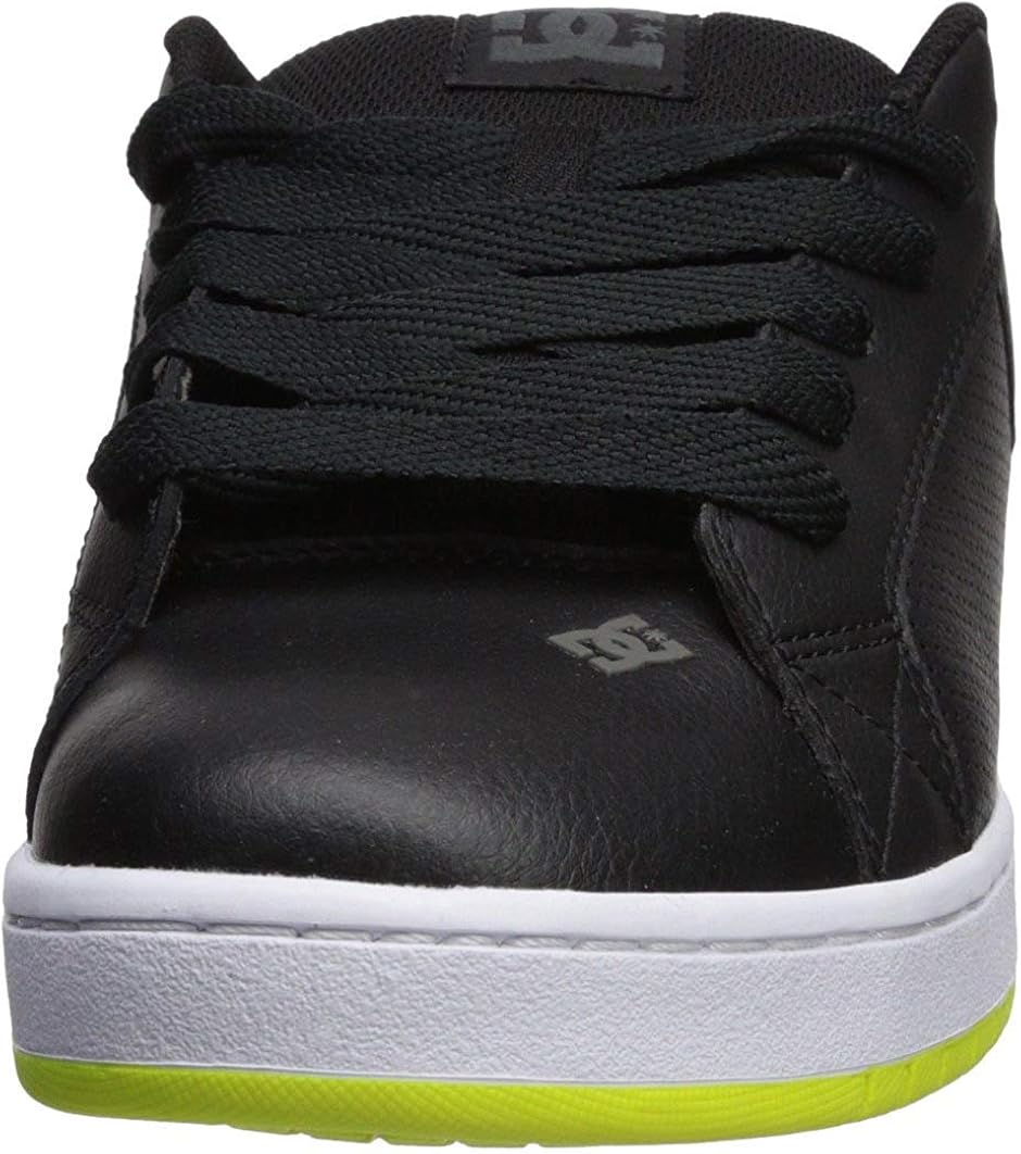 DC Men's Court Graffik Skate Shoe: Dc: Clothing