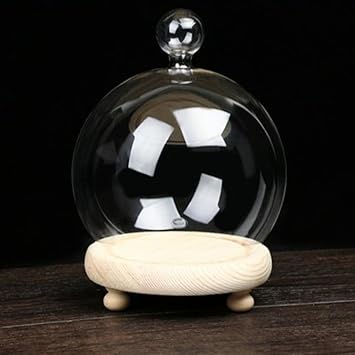 Stylish Glass Globe Vase Cover with Wooden Base Valentins Day Gift Decoration (without Decorative Flower)