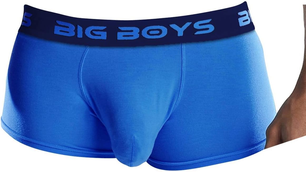 Mens Low Rise Briefs - Royal Blue