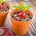 Restaurantware 4 Ounce Dessert Cups 100 Flower Pot Ice Cream Cups - Sturdy Disposable Terracotta Plastic Appetizer Cups For Layered Desserts Use At Garden Theme Parties Birthdays Or Weddings