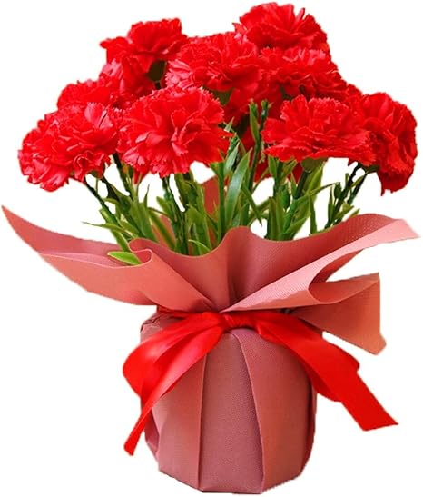 Amazon ソープフラワー カーネーション花鉢 鉢花 鉢植え プレゼント ギフト カーネーション フレグランスフラワー 花 枯れない カーネーション鉢 造花 花ギフト 造花 オンライン通販