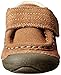 Stride Rite Soft Motion Darwin Chukka Boot (Infant/Toddler)