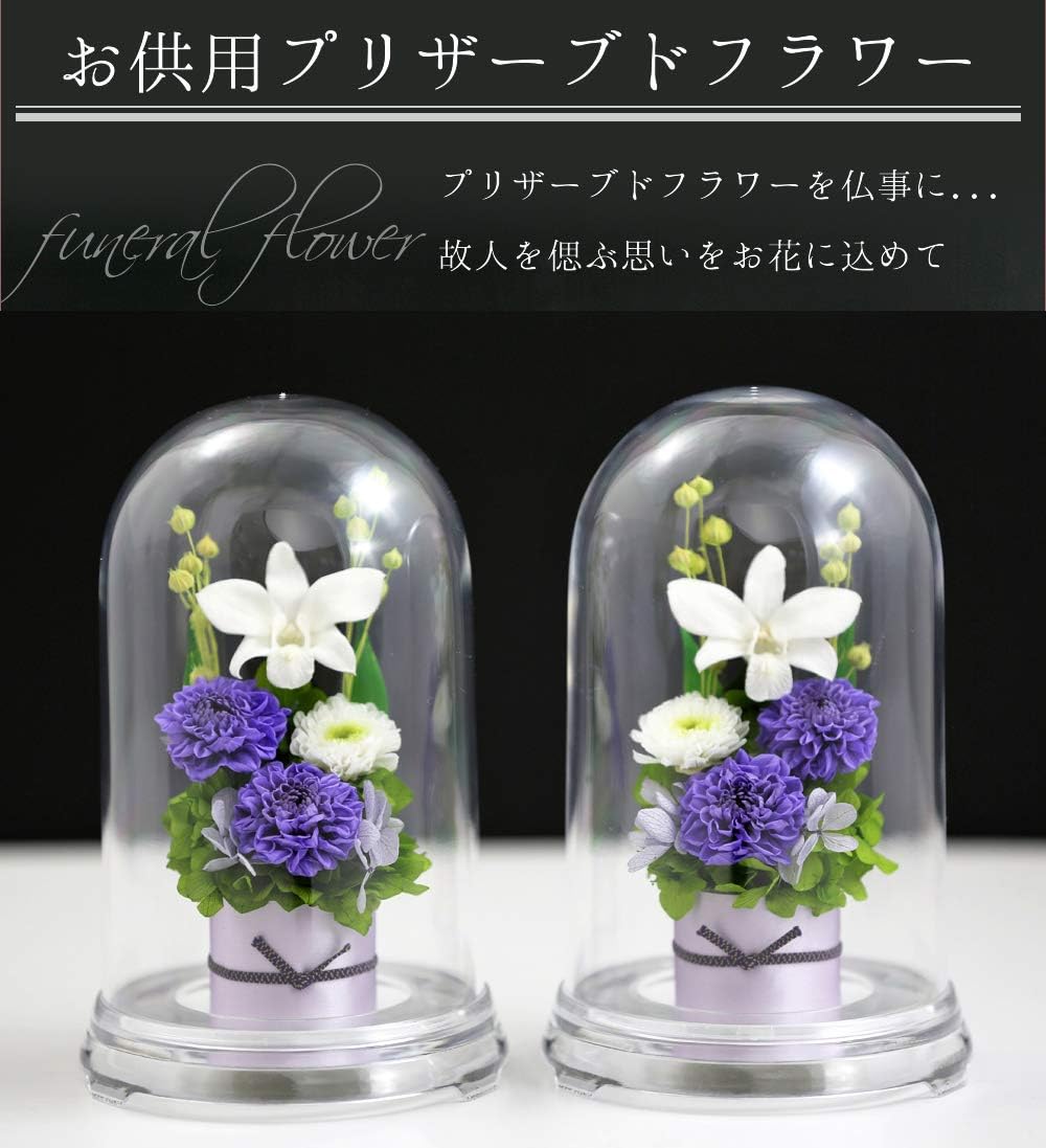 Amazon アートフォーシーズン お供え花 対デザインset リラ プリザーブドフラワー プリザーブドフラワー オンライン通販 Amazon アートフォーシーズン お供え花 対デザインset リラ プリザーブドフラワー プリザーブドフラワー オンライン通販