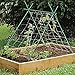 Ecostake Garden Stakes 5-Ft for Climbing Plants Supports Pole 20 Pack Rust-free Plant Sticks Fence Post