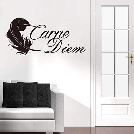 Apalldoo Stickers French Citation Carpe Diem Vinyl Wall Sticker Removable Decals Art Mural Wallpaper For Living Room Home Decor Dd0247 Gray 55x111cm Amazon Co Uk Kitchen Home
