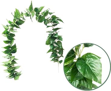 Download Decoracions de el partit tema de la platja For iPhone Decoracions De El Partit Tema De La Platja