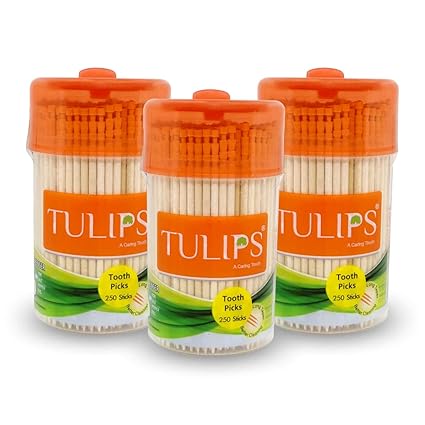 Tulips Wooden Toothpicks 250 Sticks (Pack of 3)