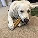 100% Natural Premium Himalayan Yak Milk Dog Chews - Long-Lasting, Digestible - Odor & Stain-Free - Gluten & GMO-Free - for Medium to Large Dogs