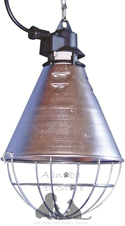 dog carrier for vespa scooter