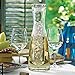 Wine Enthusiast 2-Piece Lead-Free Blown Crystal Glass Wine Chilling Carafe