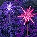 SolarDuke Solar Garden Decoration Star Stake Lights Color Channging Outdoor Lawn Yard Patio Decor