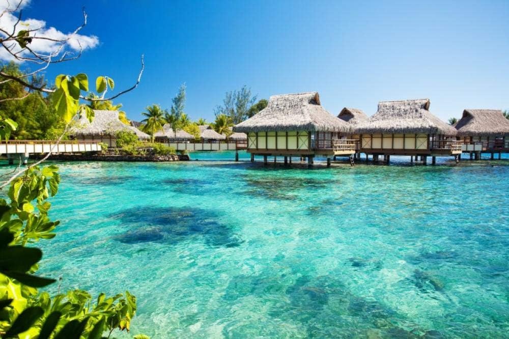 QPGGY Wooden Jigsaw Puzzles 500 Pieces for Adults Maldives Seaside Landscape Pictures-10 Educational Toys Games