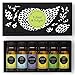 Edens Garden Essential Oils Best of The Best 6 Set – 100% Pure Therapeutic Grade Aromatherapy Oil: Fighting Five, Good Night, Joy, Lavender, Lemon & Peppermint - for Diffusers & Home, 10 ml/ 6 Pack
