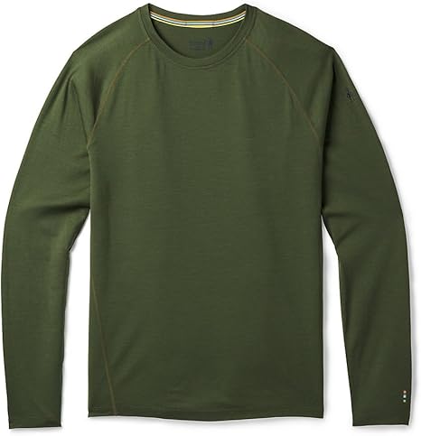 smartwool men's merino 150 pattern hoodie