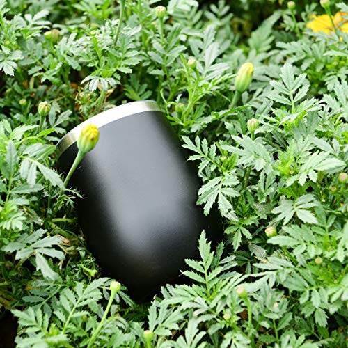 5 DOMICARE+Insulated+Tumbler+Glasses+Black