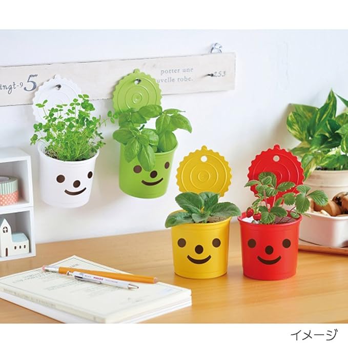 Kit de cultivo smile & smile. Para que los niños se sientan ...