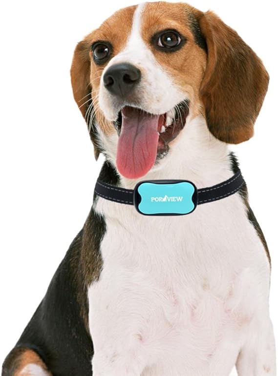 pop view barking control collar