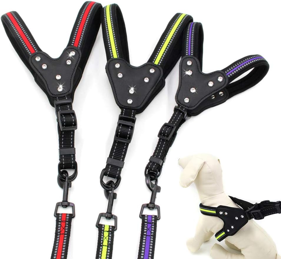 tbpersicwT Pet Cheat Strap + Leash, 2Pcs Reflective Pet