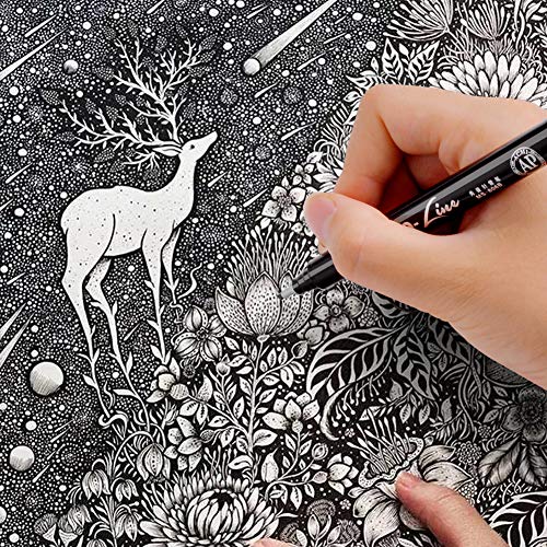 Set of 12 Black Micro-Pen Fineliner Ink Pens - Waterproof Archival Ink Micro Fine Point Liner Pen, Multiliner, Calligraphy Brush, Illustration, Technical Drawing, Office Documents, Scrapbooking