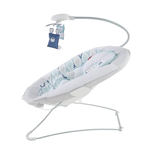 fisher price woodsy wonders deluxe bouncer