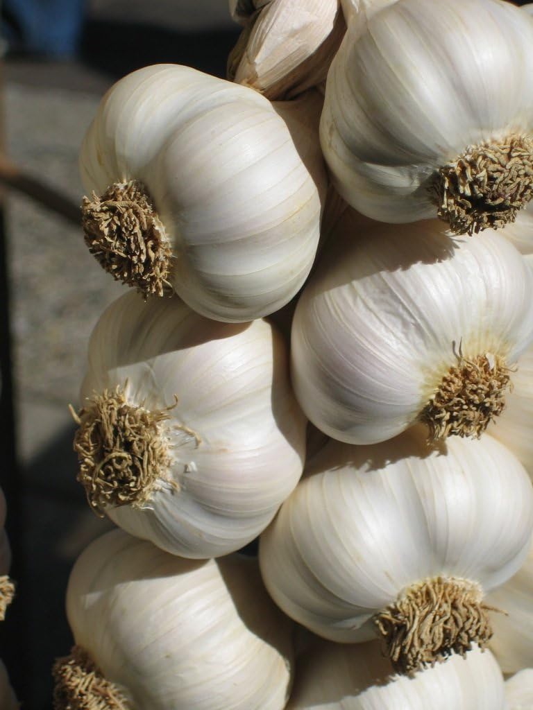 ORGANIC GARLIC 3 BULBS 80G FROM ARTISANA GROCERY