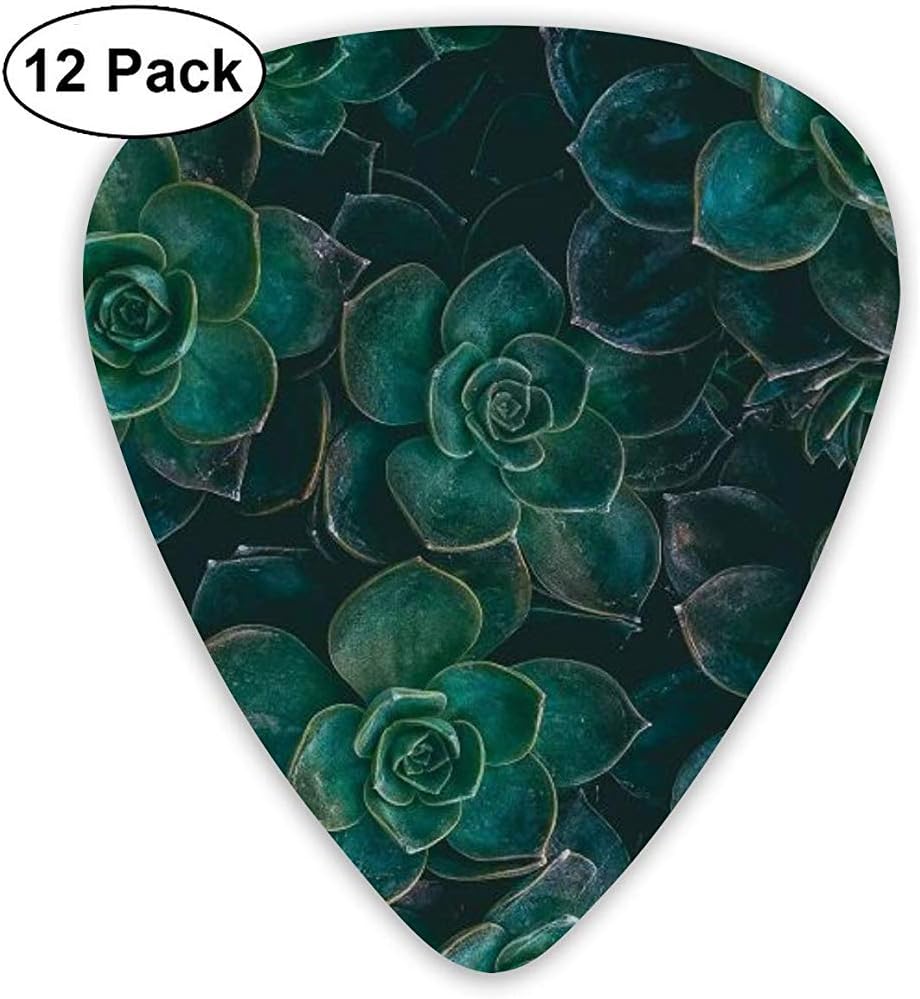 12 Pack Guitar Picks, Green Succulents Print Celluloid Guitar Pick Set For Acoustic Electric Guitar Bass
