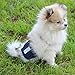 Paw Legend Washable Dog Belly Band Wrap Diapers for Male Dog | High Absorbing Puppy & Doggy Diapers Male (3 Pack,Army,Grey,Navy,Medium)