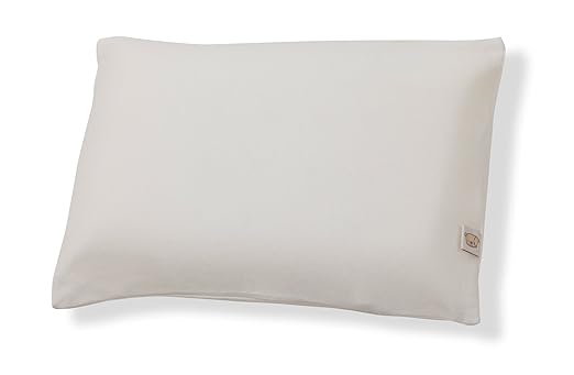 clevamama infant travel pillow