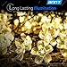 ANNT Warm White Solar Flower Shape String Lights 23ft 7m 50 LED Crystal Lighting Waterproof Lamp Fairy Blossom Flower Garden Holiday Decorative Light Outdoor Indoor Patio Wedding Xmas Tree Party