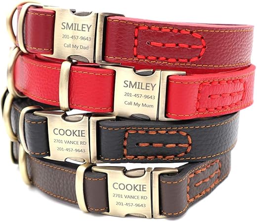 amazon dog collar with name