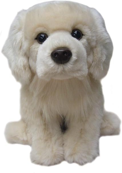 cuddly toy dog breeds