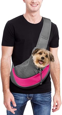 puppy carry