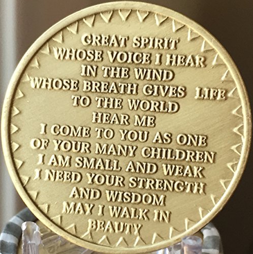 Native American In The Spirit Of Love Bulk Lot of 25 Medallions Dream Catcher Chips Bronze Great Spirit Prayer