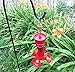 Tip-Top Garden Supply Copper Hummingbird Feeder Ant Trap, Bug Trap, Ant Guard, Ant Moat (3, Natural Copper)