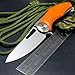 Eafengrow Dark Folding Knives D2 Blade Plating Titanium Steel Handle Flipper Camping Outdoor Tactical Knife EDC Tool (orange)