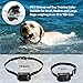 iPetDog Dog Training Collar Dog Shock Collar with Remote 330yd Rechargeable Vibration E Collars for Dogs (Black)