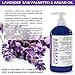 STEP 3 Organic Anti Hair Loss Conditioner Lavender/Saw Palmetto & Argan Oil 16 Oz Green Touch Botanical Hair Growth Therapy