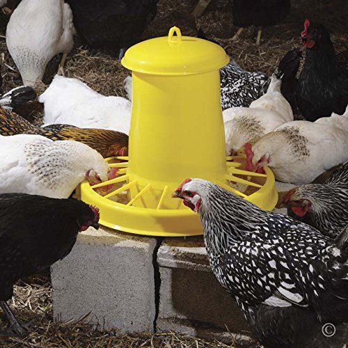 Saturn 15 Poultry Feeder - 15 lb.