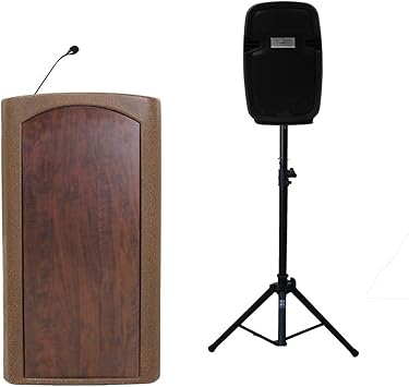 speaker dan mic portable