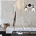 Phansthy 2 Light Swing Direction Wall Sconce with Switch and 5.6
