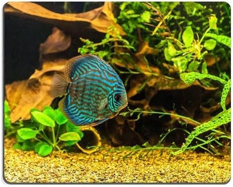 Natural Rubber Gaming Mousepad A green beautiful planted tropical freshwater aquarium with colorful tropical fish Three Sizes For Choose From Sold by Inc
