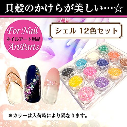 Amazon シェル 12色セット ジェルネイル デコパーツ プチプラ ネイル 通販