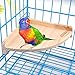 Wood Perch Platform Toy for Bird Parrot Parakeet Finch Canary Budgie Hamster Gerbil Rat Chinchilla Perch Cage