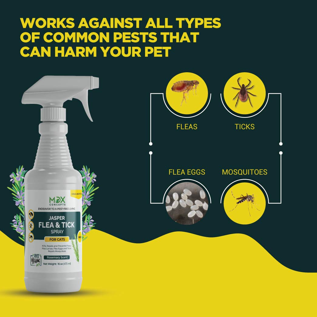 Reviews mdxconcepts Jasper Organic Cat's Flea and Tick Control Spray