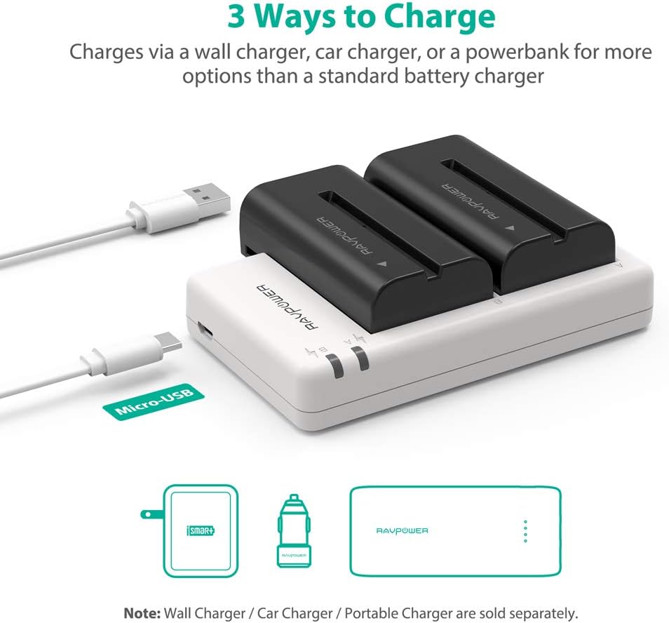 NP-F550 RAVPower Battery Charger for Sony NP F970, F750, F770, F960, F550, F530, F330, F570, CCD-SC55, TR516, TR716, TR818, TR910, TR917 and more (2-Pack Replacement Battery Kit, Dual Slot Charger): Camera & Photo